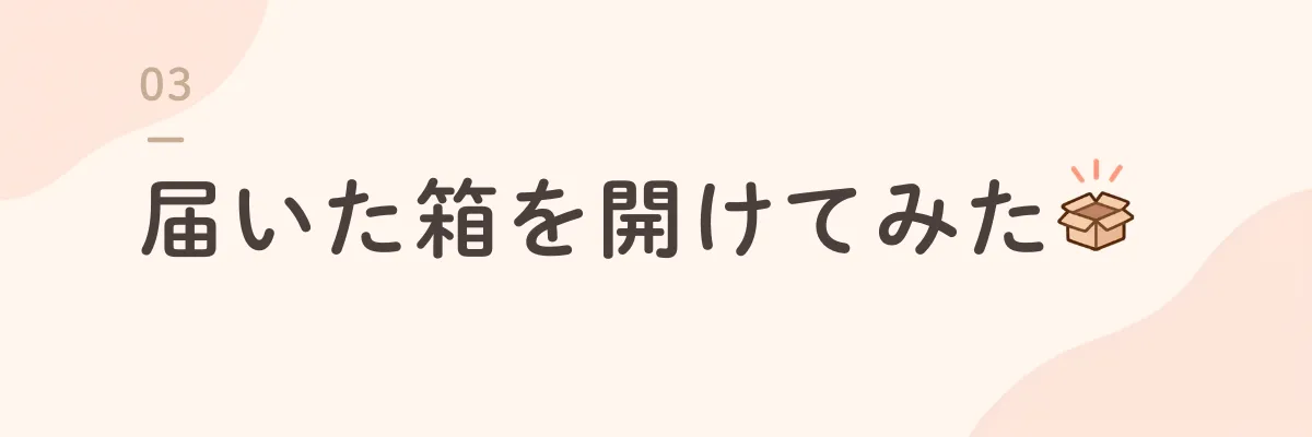 届いた箱を開けてみた