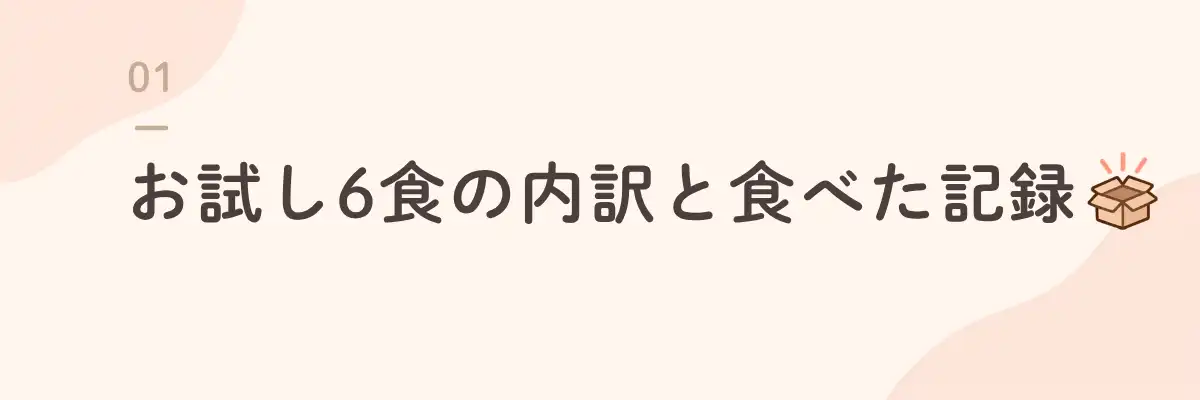 お試し6食の内訳と食べた記録